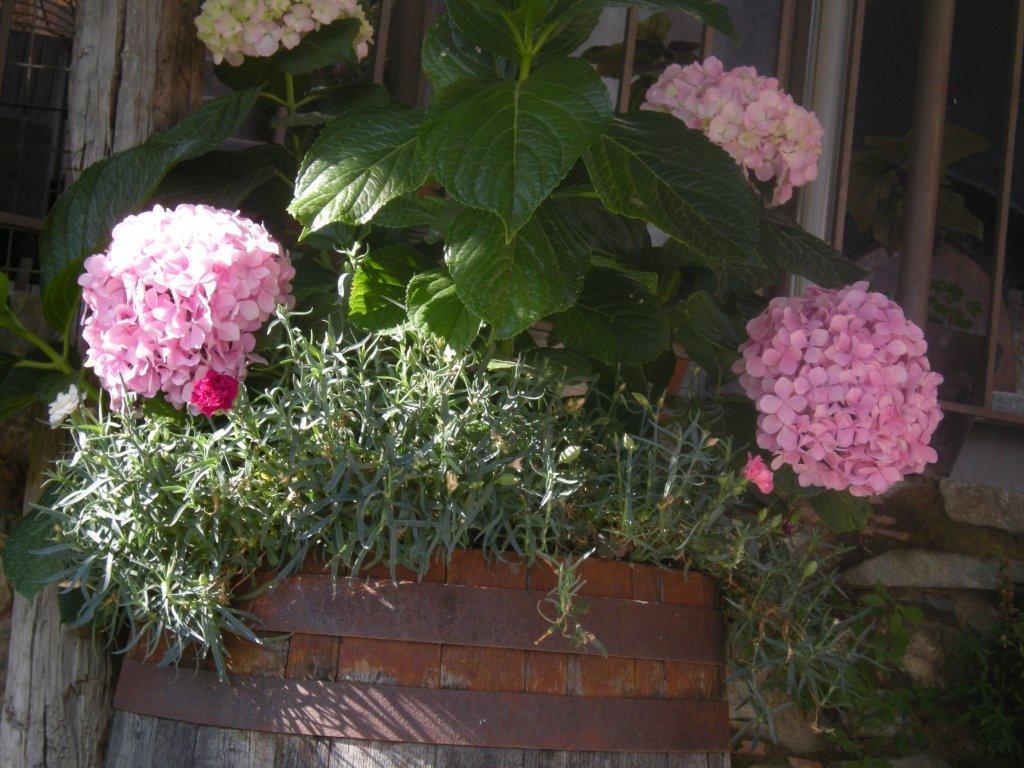 Lasmari'S Bouquet Sykopetra Exterior foto